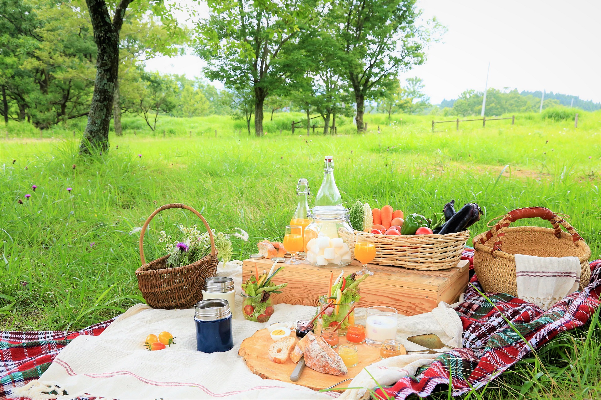 Sunday picnic went public