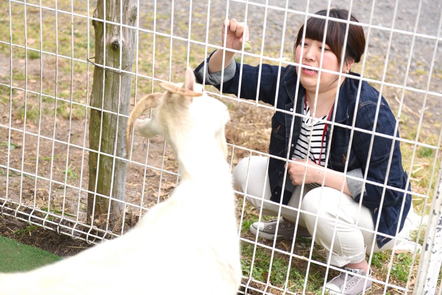 南小国キャンプ 見渡す限り緑 ありのままの自然を楽しみたいキャンパーにおすすめ 茶屋の原キャンプ場のご紹介 Smo南小国